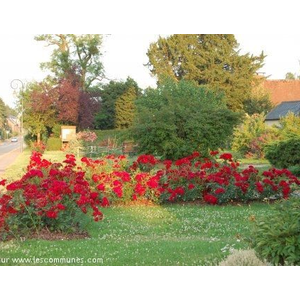 " joli village fleuri 3 fleurs "