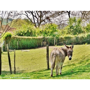 La Commune ( Paturages )