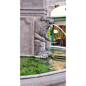 La Fontaine aux Lions ( Détail )