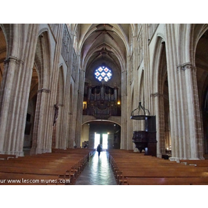 la Cathédrale Sainte Marie 