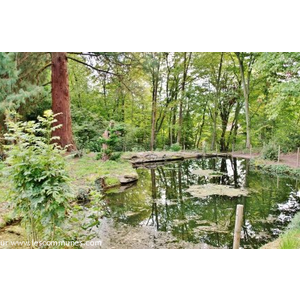 Château de Léonardsau ( Parc )