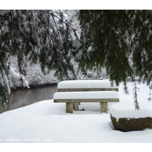La Lauter - Décembre 2010