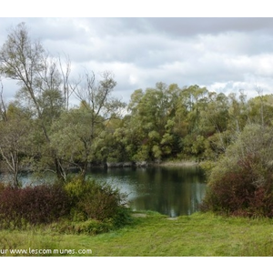 Etang dans la forêt Octobre 2010