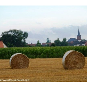 Les moissons - Juillet 2010