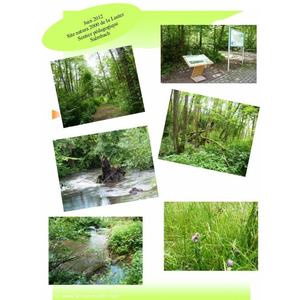 Site Natura 2000 La Lauter Salmbach