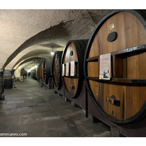 Cave historique des hospices de strasbourg