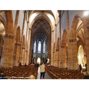 collégiale Saint Martin 
