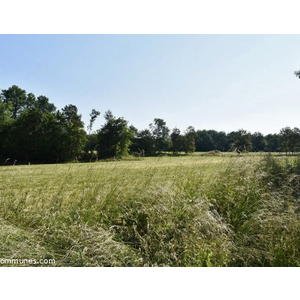 Commune de LA BASSE VAIVRE