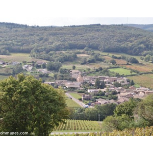 Commune de CHASSELAS