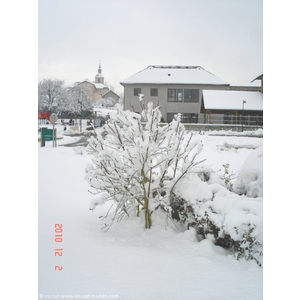 Coise sous la neige de décembre 2010