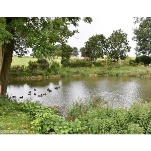 Commune de SAUSSEUZEMARE EN CAUX