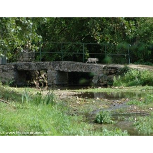 Passage à Gué à Pallu 