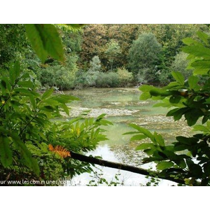 Étang lieu dit les Crus à Terre 