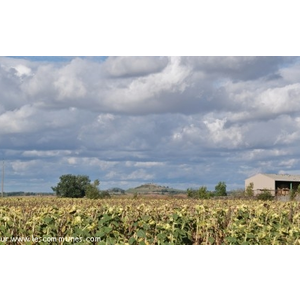 Commune de SAINT GENESAINT DE CONTEST