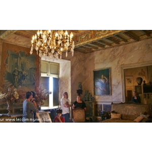 Château de Mauriac ( Le Grand Salon )