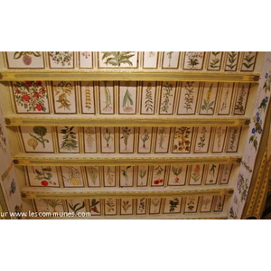 Château de Mauriac (Plafond Herbier chambre Polonaise)