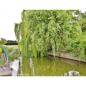 Commune de ANGEVILLE