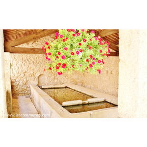 Commune de ARTIGNOSC SUR VERDON