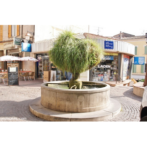 Commune de FREJUS