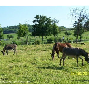 photo evaux et menil